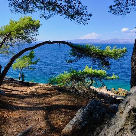 Vila Vita Donje Selo na Šolti Esterno foto