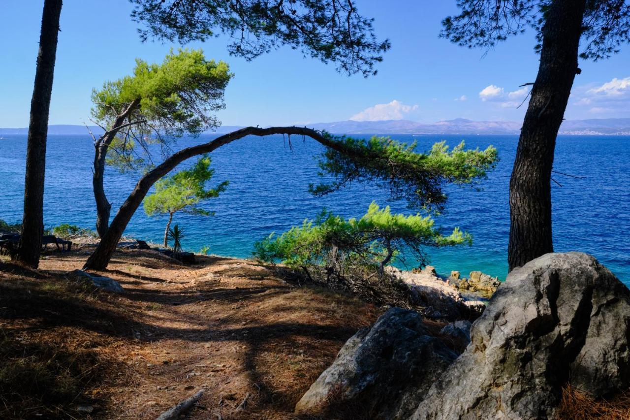 Vila Vita Donje Selo na Šolti Esterno foto